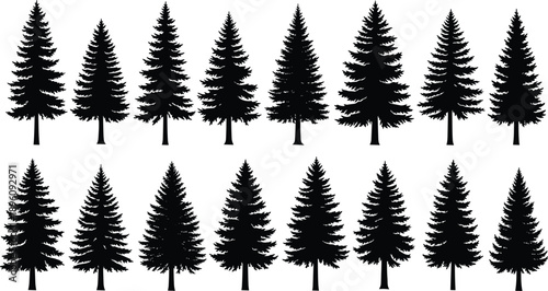 Collection of Eighteen Detailed Black Silhouettes Featuring Various Pine and Fir Trees in Different Sizes and Shapes for Nature Forest and Wilderness Landscape Designs