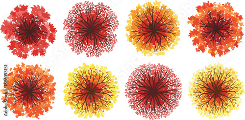 Top view autumn tree canopy flat vector illustration set showing colorful fall foliage in red orange and yellow tones isolated on white background for seasonal landscape design use