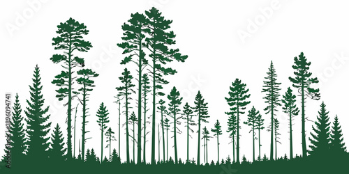 Dark green forest silhouette with various pine tree shapes