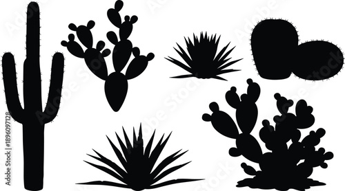 Silhouettes of six desert plants including cacti and succulents, isolated illustration showcasing diverse shapes and structures of arid flora for botanical or artistic use