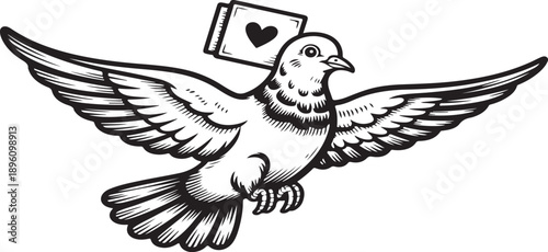 A conceptual representation indicating the presence or availability of a versatile vector file