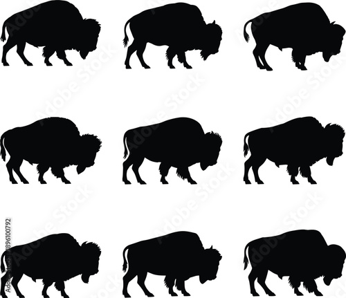 American bison silhouette set with multiple walking poses isolated on white background wild buffalo animal collection