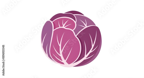 Purple Cabbage - Fresh and Healthy Vegetable Illustration