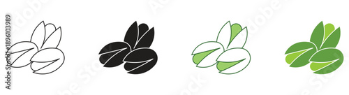 Pistachio icon set. Isolated flat pistachio nut in nutshell and peeled with leaves sketch icons. Natural organic healthy food collection. Vector Illustration. 