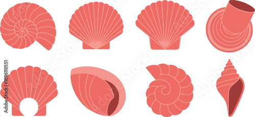 Pink Seashell Vector Set  Scallop and Conch Shells Minimal Beach Illustration