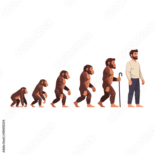 Illustration of a cartoon evolution sequence from a monkey to a man with a cane standing on a white background in a cute and humorous way.