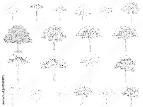 Viewing tree growth collage in grid layout, black‑white illustration from frontal perspective