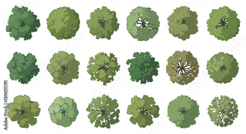 Top view of diverse green trees and plants for landscape design.