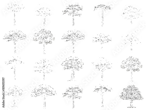 Black-and-White Illustration of Three Rows of Trees in Growth Stages with Simplicity