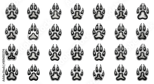 Numerous animal paw prints in a repeating pattern.