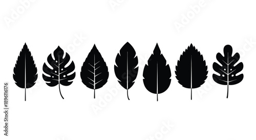 Collection of diverse black leaf silhouettes on a white background.