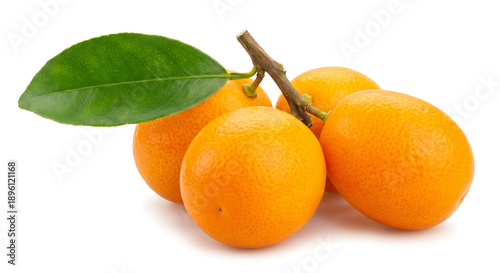 Fresh whole kumquats on stem with leaf isolated on white background