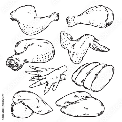 Set of hand drawn raw chicken meat outline drawing illustration