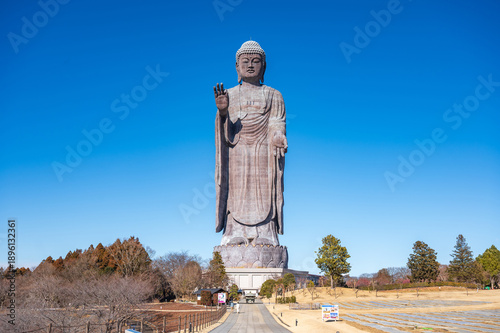 牛久大仏の全身像と青空