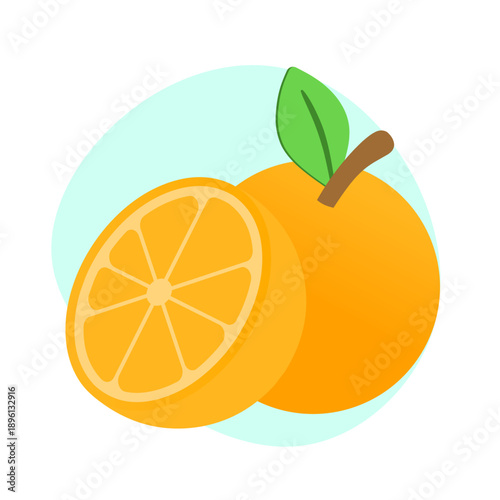 orange with leaves vector illustration