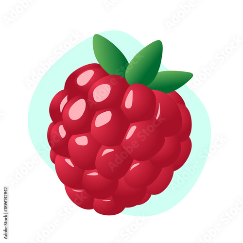 raspberry isolated on white