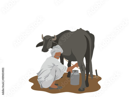 Indian Farmer Milking Buffalo in Traditional Rural Setting