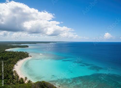 Aerial view of a pristine white sand beach with turquoise or aqua blue ocean water and lush green palm trees under a bright blue sky with white cumulus clouds, for travel or vacation background