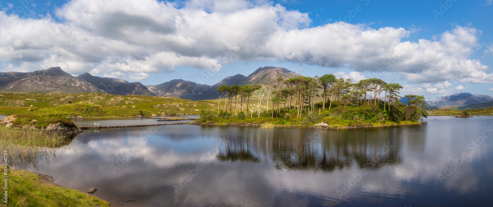 Naklejka premium Reflective loch with Pine Island in Connemara, Galway, Ireland. Mirrored water, distant mountains under drifting clouds. Soft sunlight bathes trees and shoreline, peaceful wilderness ideal for travel