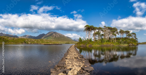 Stone path leading to reflective Pine Island in Connemara, Galway, Ireland. Symmetrical mirror of compact island of pines with rugged stones forming causeway under vibrant and mood sky