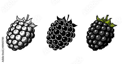 Artistic representations of blackberries: sketch, vector, pixel art styles