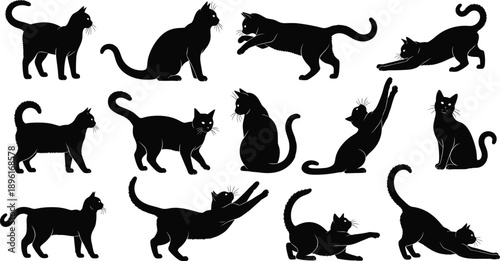 Black cat silhouettes set, domestic feline vector icons in various poses, sitting walking jumping and stretching kitty graphics.