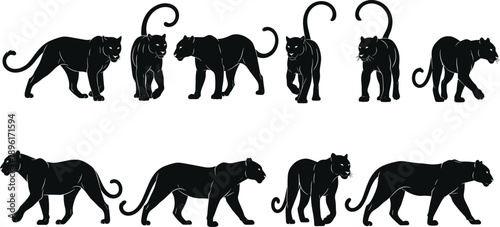 Panther walking silhouette icons, animal motion sequence, black vector illustrations, feline stride stages, wildlife movement design