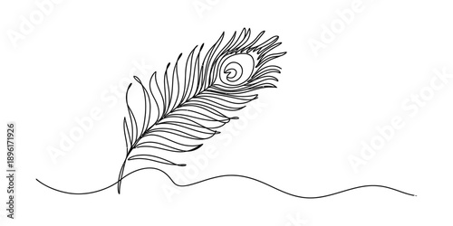 Minimalist continuous line drawing of a beautiful peacock feather illustration Vector, illustration