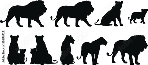 Lion family silhouette vector set, black animal shapes, lion, lioness, cub poses, wildlife illustration, safari theme, animal behavior study