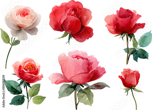 Wallpaper Mural bouquet of roses Torontodigital.ca