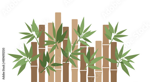 Bamboo plants growing behind a wooden fence in a serene garden setting.