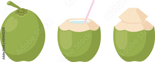Green Coconut Illustration Set with Whole Opened and Straw Drink Isolated on White Background