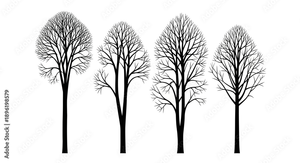 Fototapeta premium Bare Trees Silhouettes in Winter Season