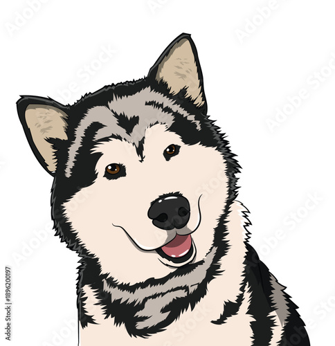 Siberian Husky Dog Portrait with Brown Eyes and Happy Smile Illustration