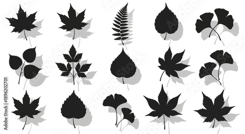 Leaf Silhouettes: Botanical Diversity