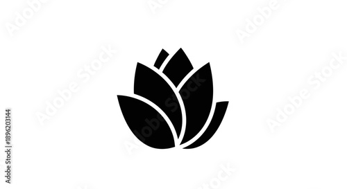Black lotus flower logo