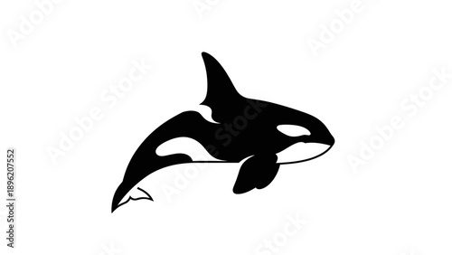 Orca Killer Whale Silhouette