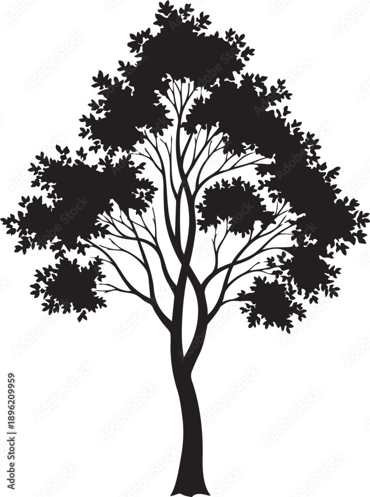 Obraz premium Silhouetted tree with dense foliage against a plain white background