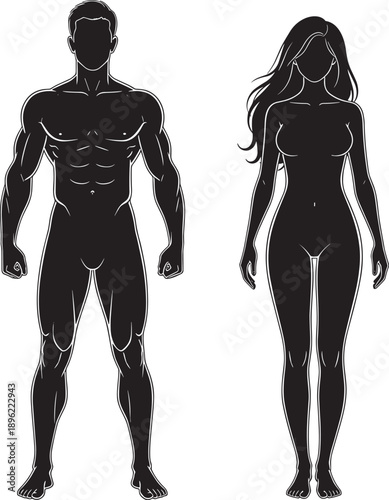 Black Silhouette Vector Set of Muscular Male and Female Body Proportions Featuring Athletic Figures for Fitness Healthcare Anatomy Studies and Gym Wellness Graphic Design Projects