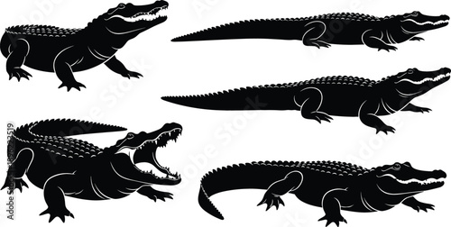 Detailed collection of black crocodile and alligator silhouettes in various swamp predator poses for wildlife and nature design