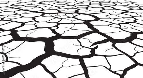 Cracked earth surface with deep black and white lines