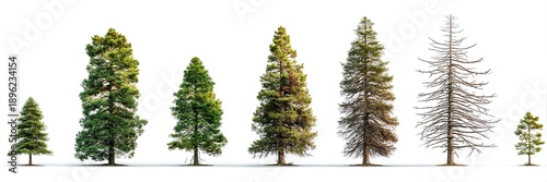 Realistic seasonal tree collection isolated on transparent background for landscape and architectural design