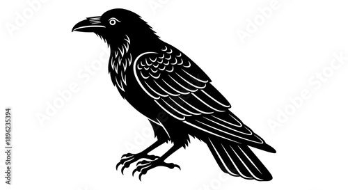 Black Crow Bird Illustration.
