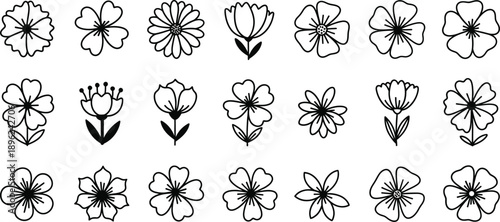 Collection of 18 unique floral designs in black and white