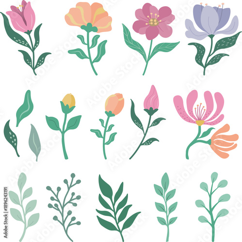 modern botanical flower elements
