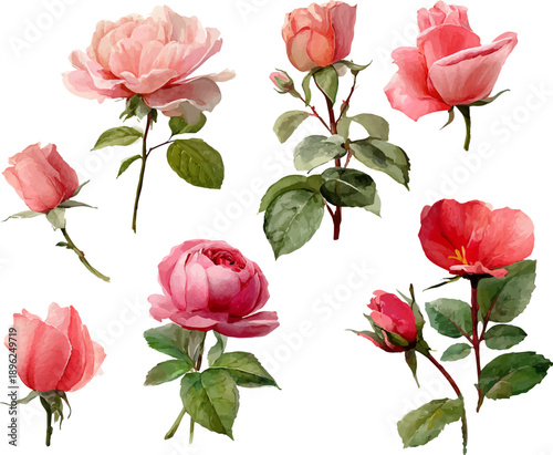 Wallpaper Mural seamless pattern with pink roses Torontodigital.ca