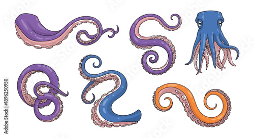 Colorful octopus tentacles and a partial octopus illustration on a white background