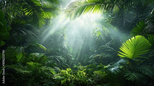 Wallpaper Mural Sunbeams illuminate lush tropical rainforest vegetation Torontodigital.ca
