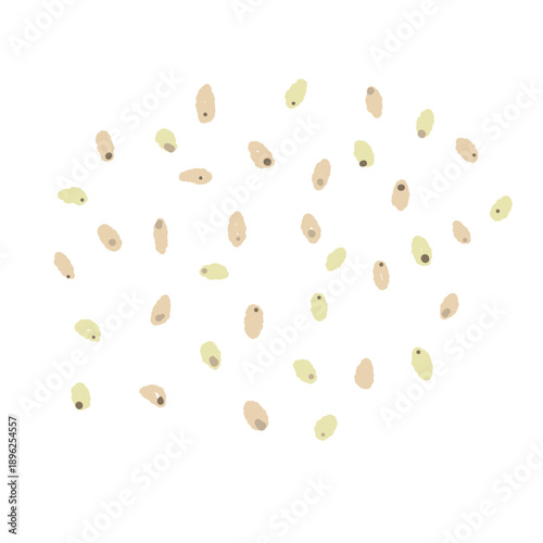Scattered White Sesame Seeds Vector