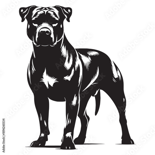 Cane Corso Dog – Powerful Italian Mastiff, Loyal Guardian, Muscular Protector, Noble Working Breed.